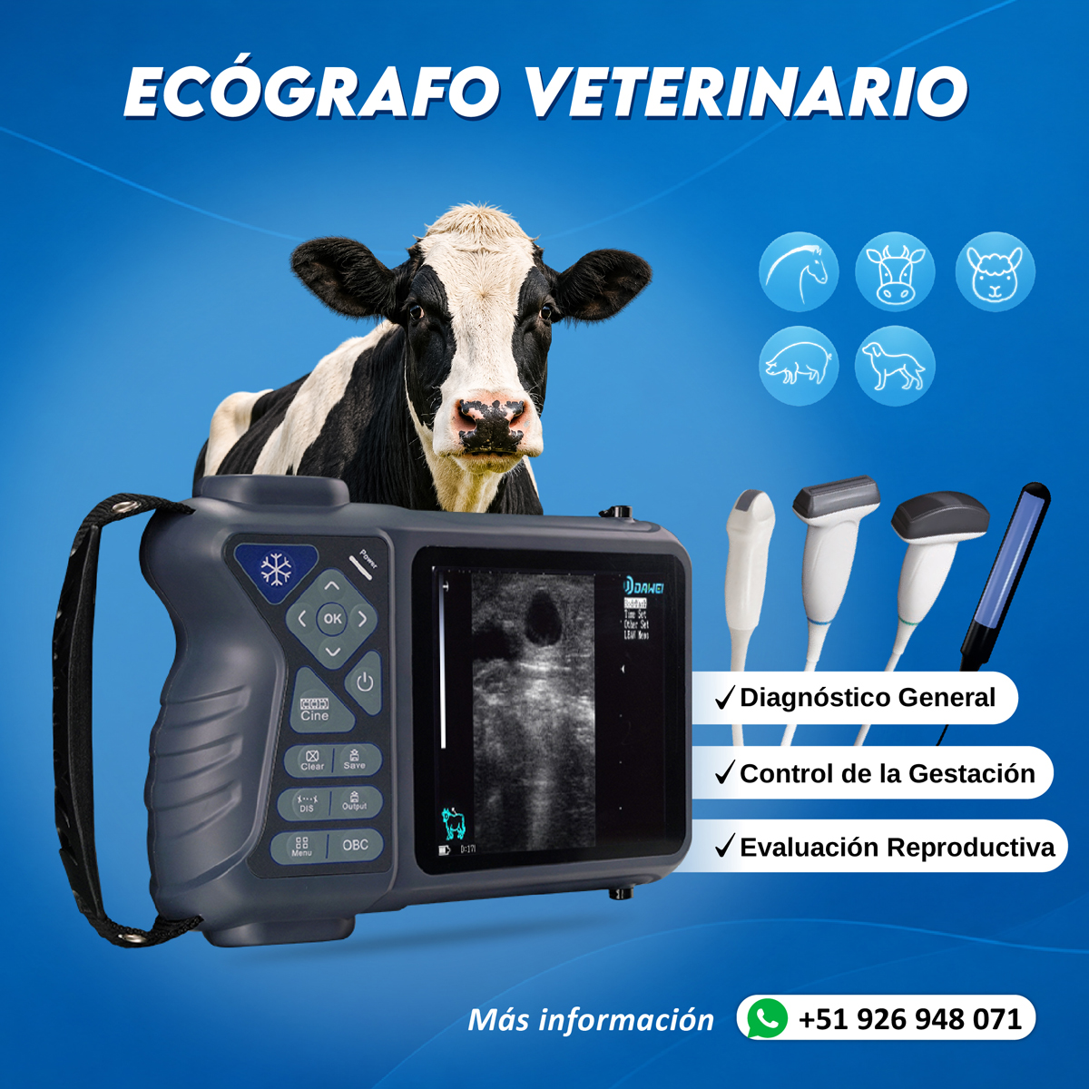 Ecografo Veterinario
