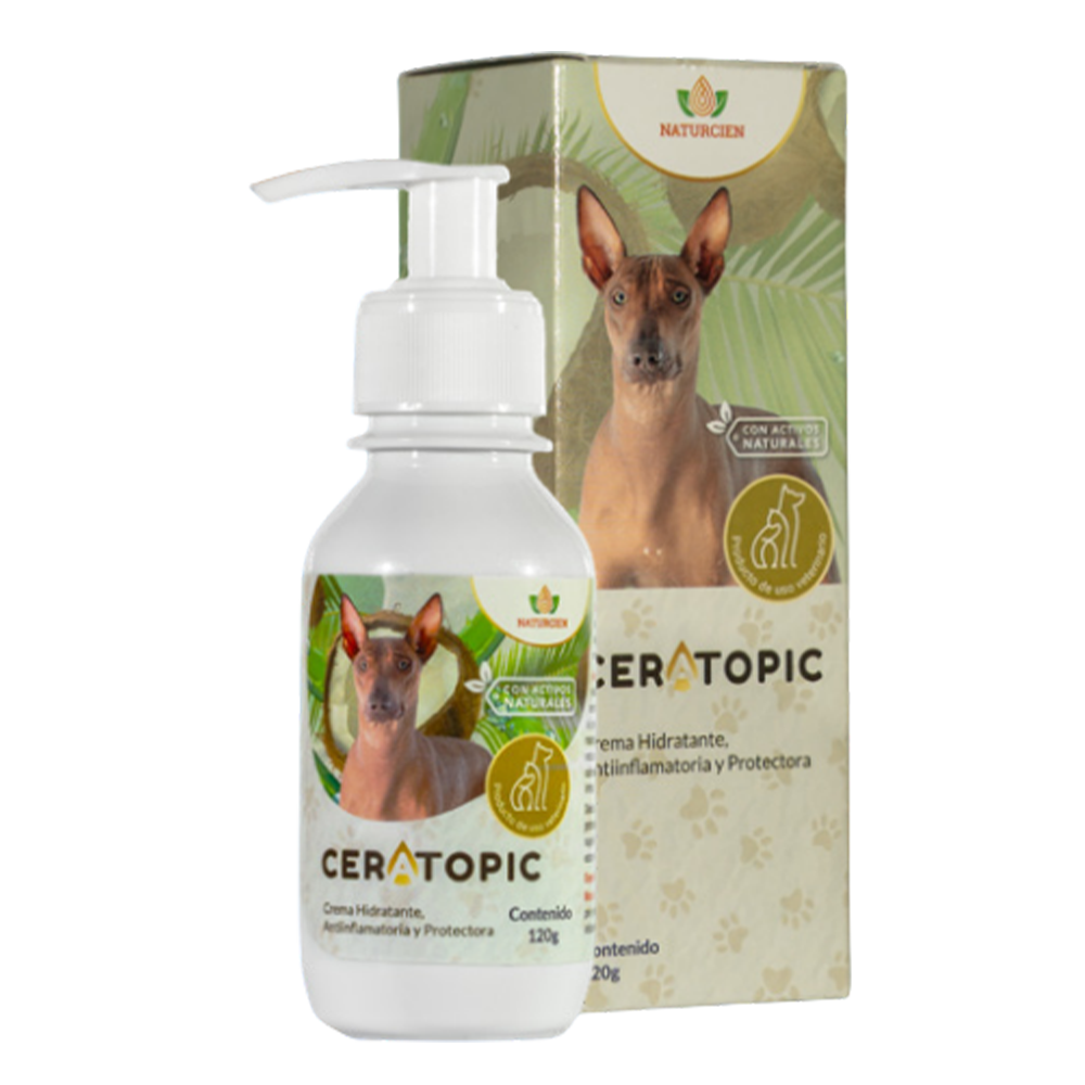 Ceratopic