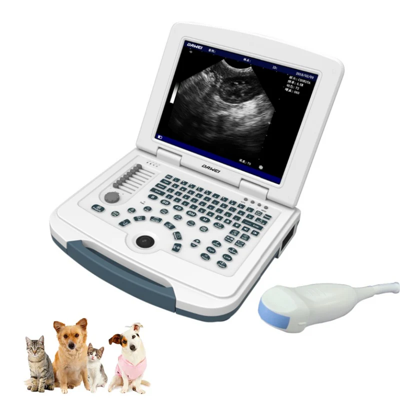 Ecógrafo veterinario portátil