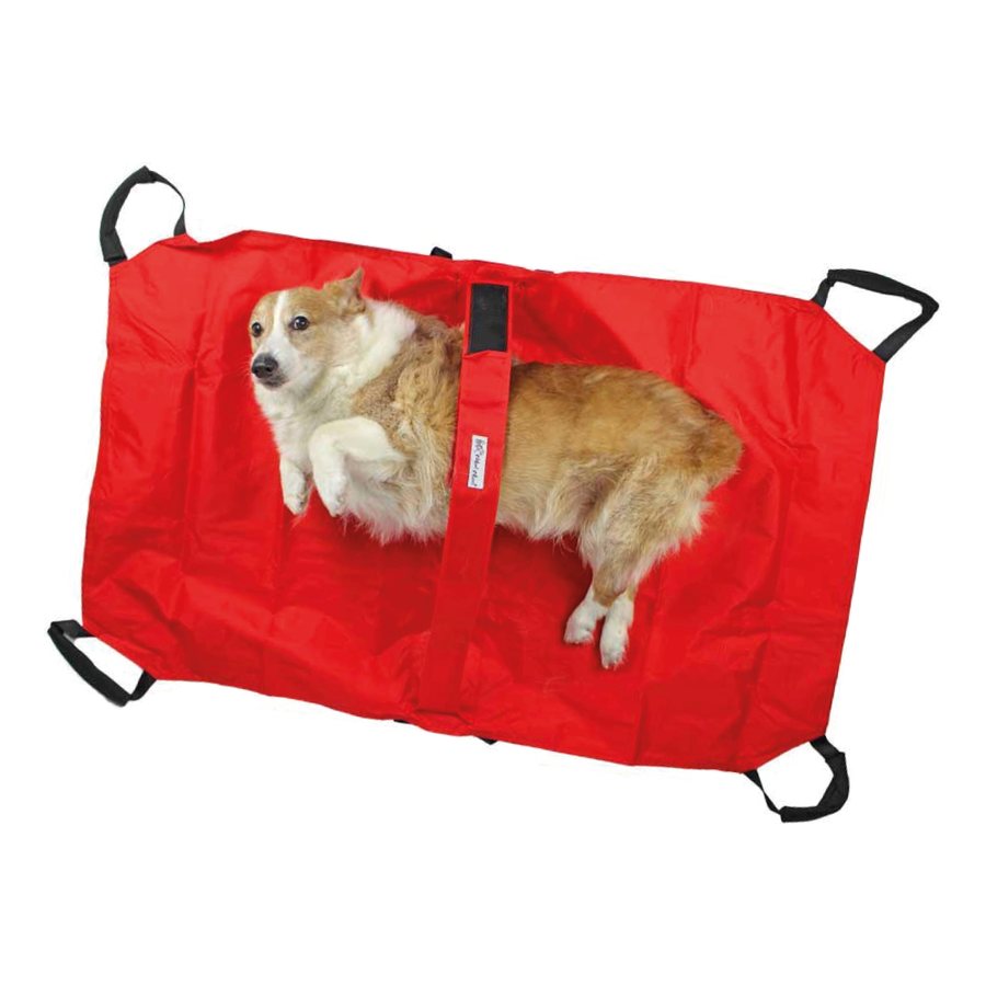 Camilla para perros