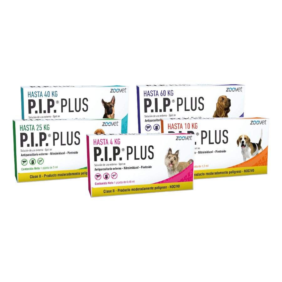 P.I.P PLUS