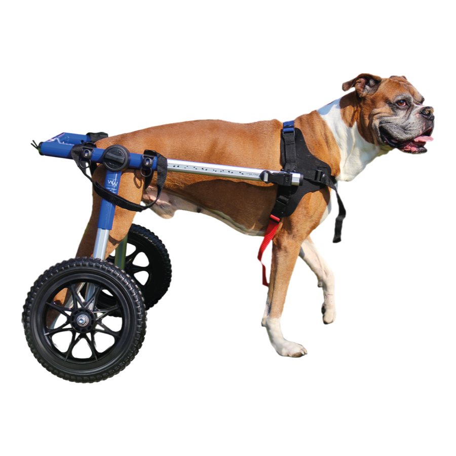 Silla de Ruedas Walkin’ Wheels