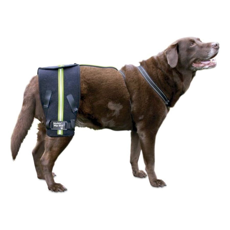 Sistema de Soporte Walkin’ Hip-EEZ