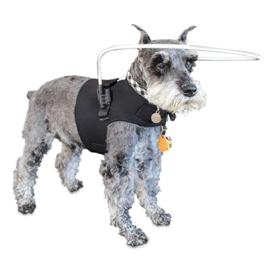 Walkin’ Halo para perros ciegos