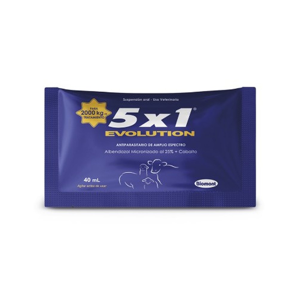 5×1 Evolution