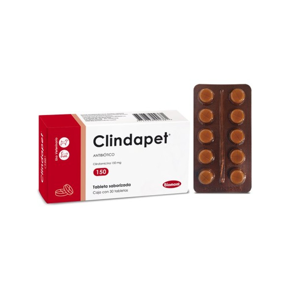 Clindapet