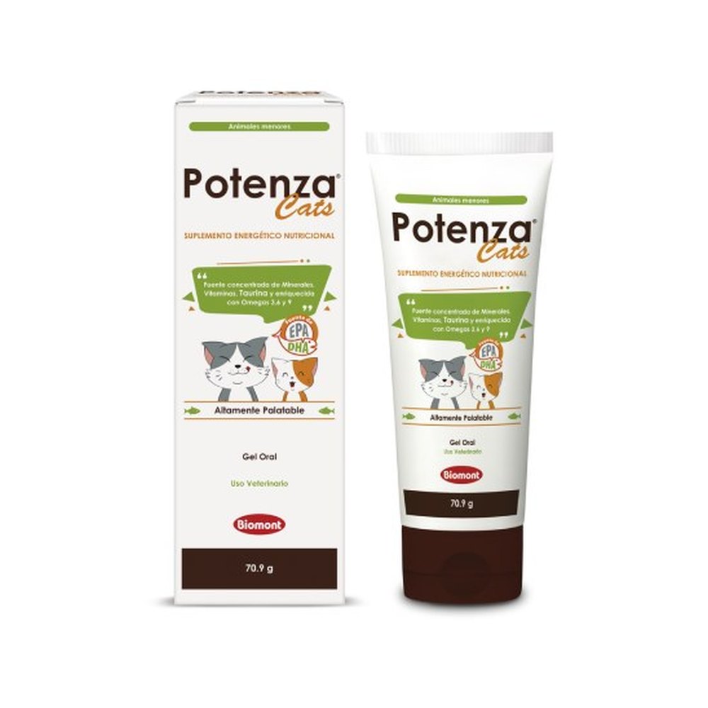 Potenza Cats