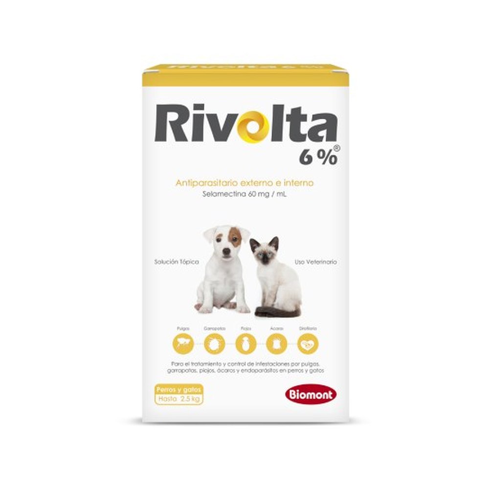 Rivolta 6%