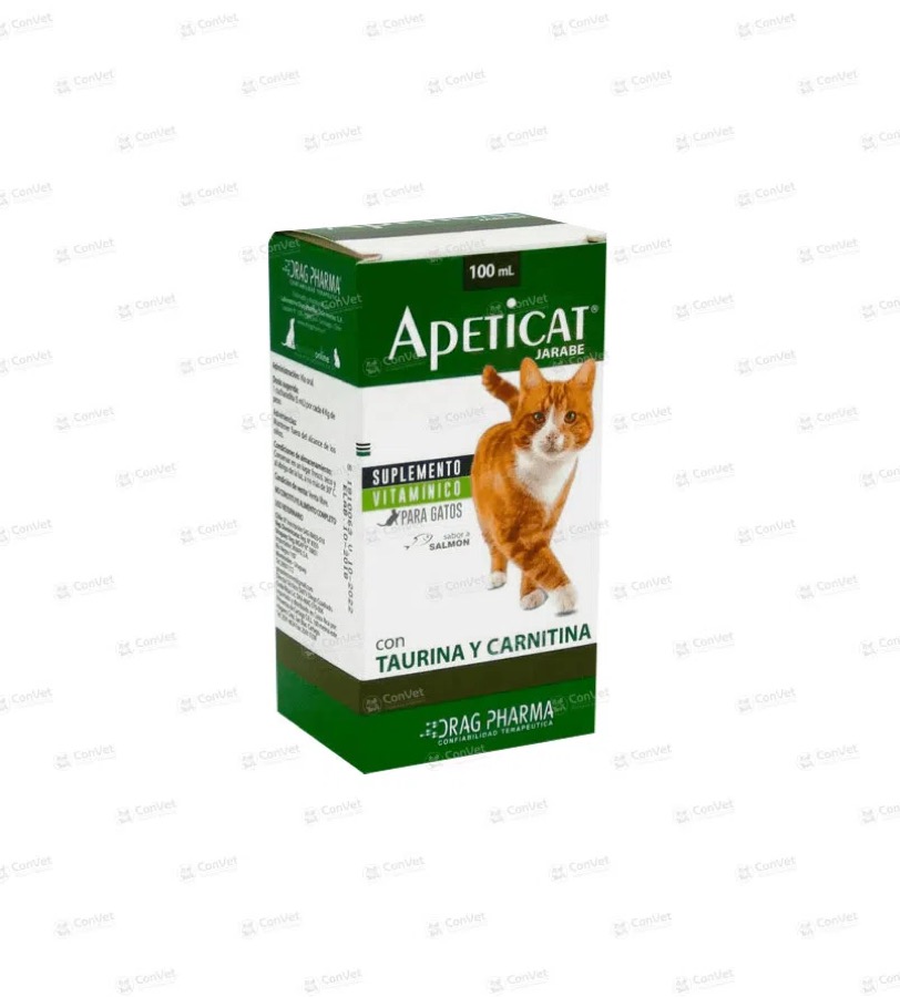 Apeticat Jarabe x 100 ML