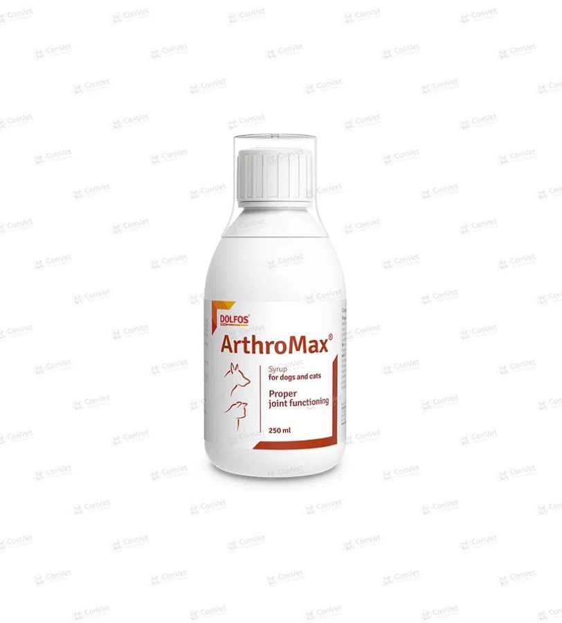 Arthromax x 250 ML