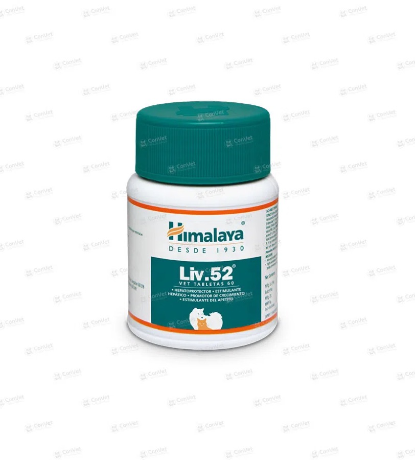 Liv.52 x 60 UND