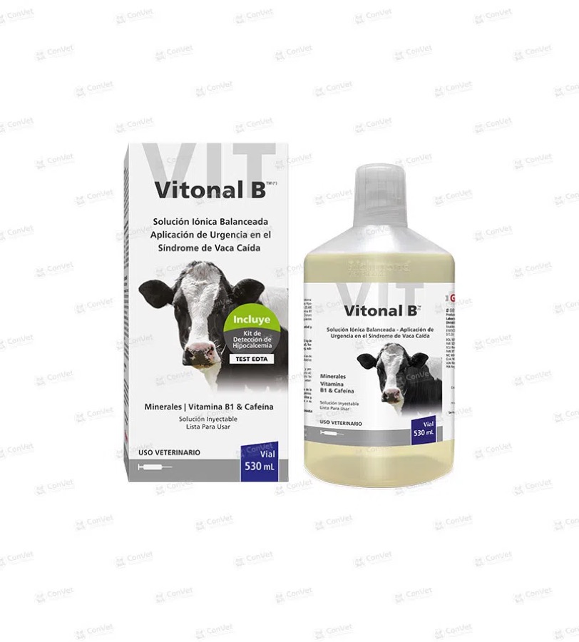 Vitonal B x 530 ML