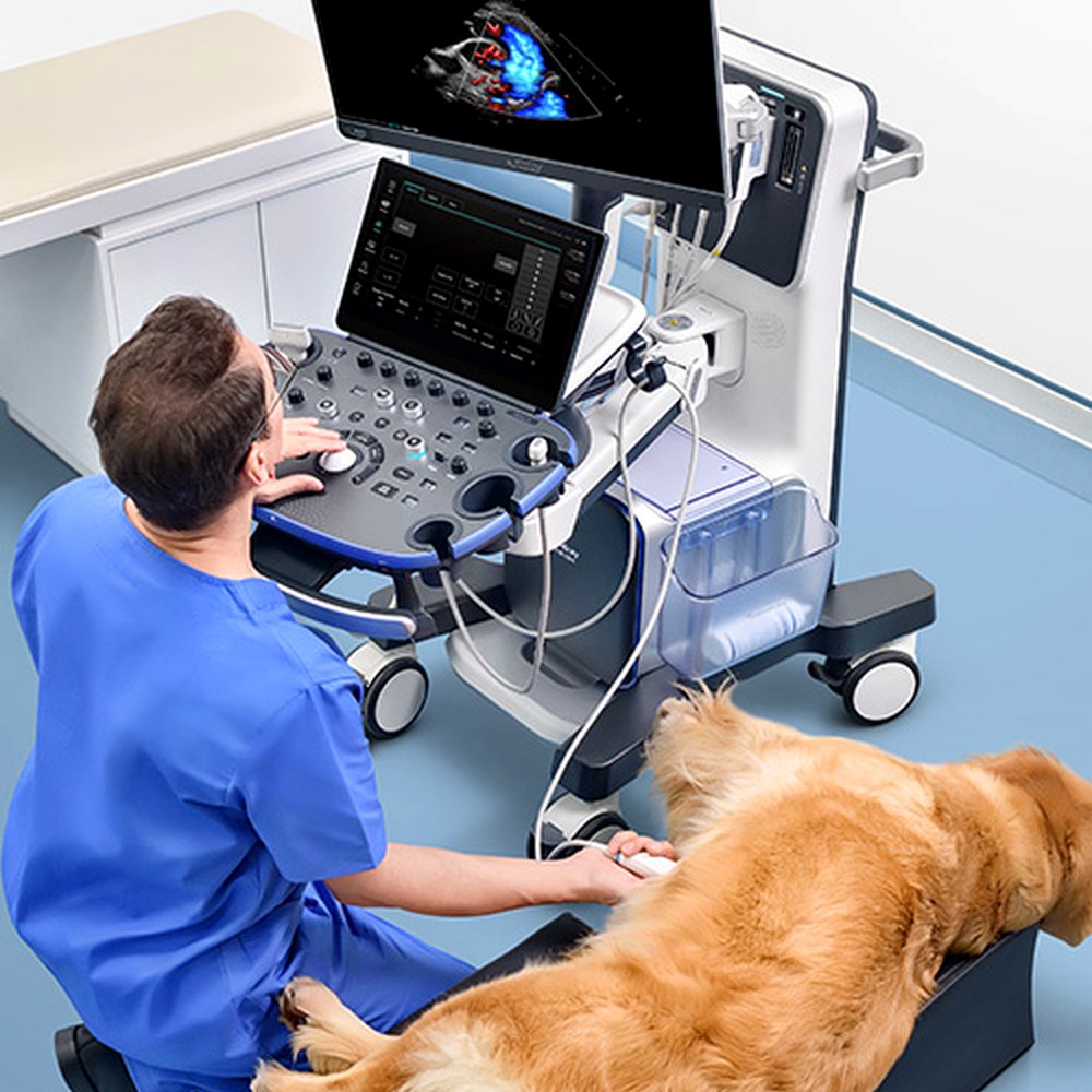 Ecografías veterinarias