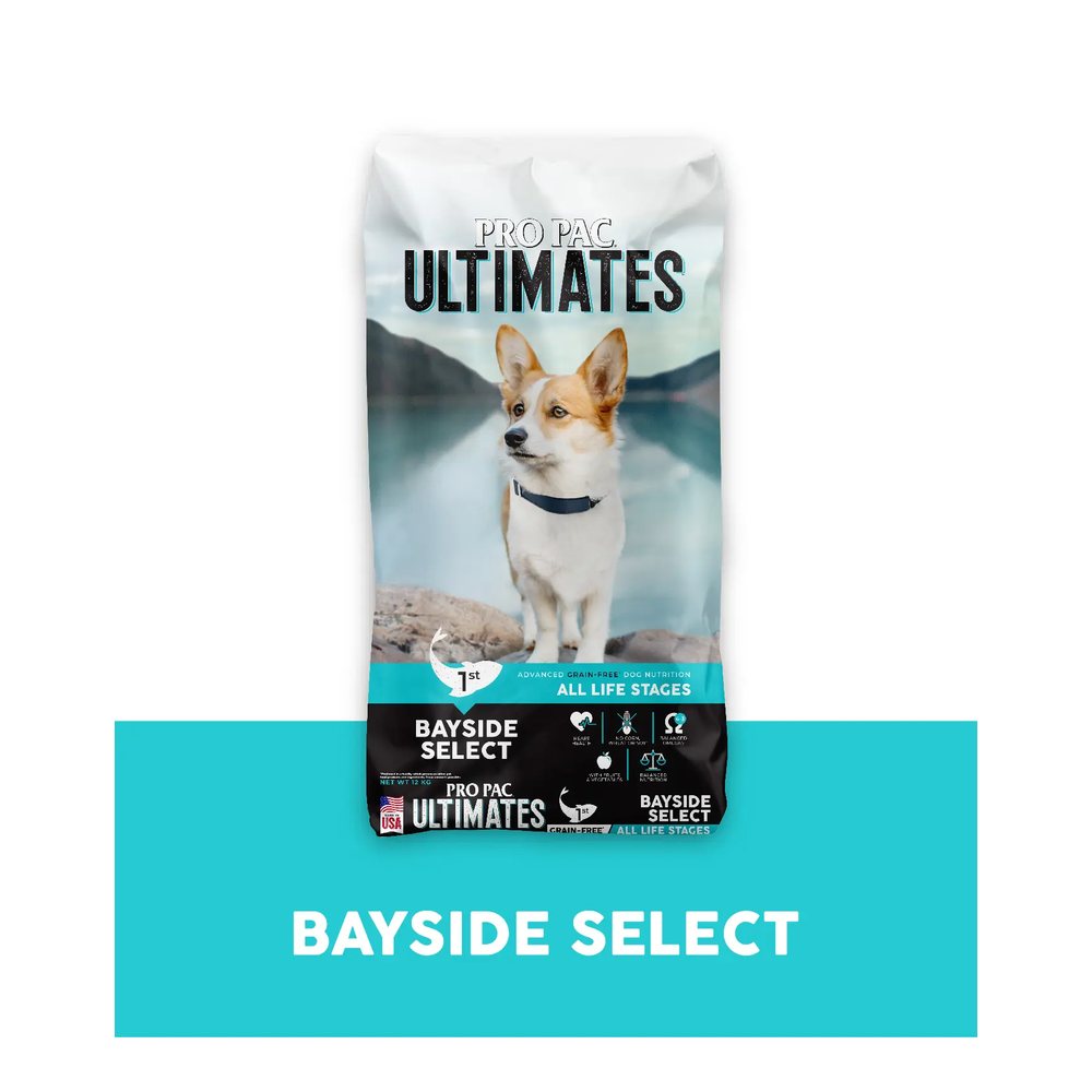 Dog Bayside Select