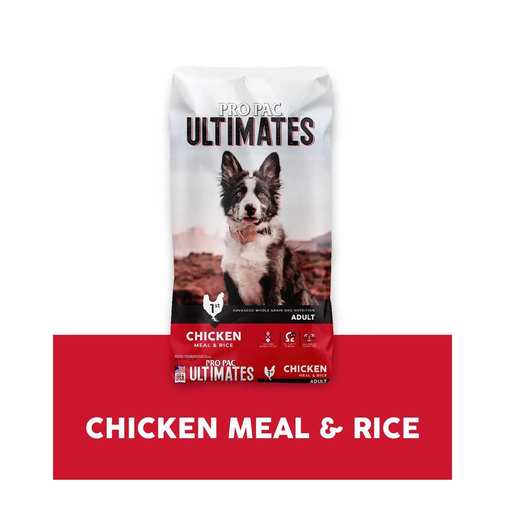 Dog Chicken Meal & Rice