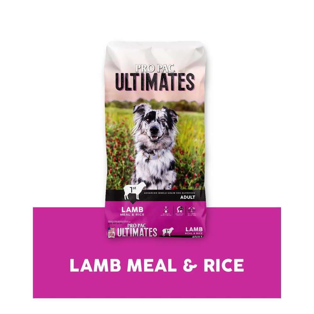 Dog Lamb Meal & Rice