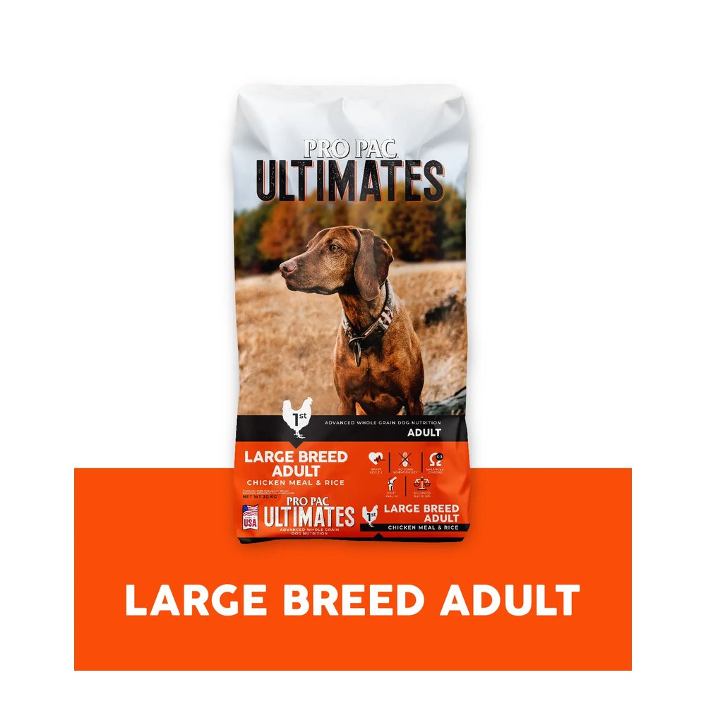 Dog Large Breed Adult Chicken Meal & Rice