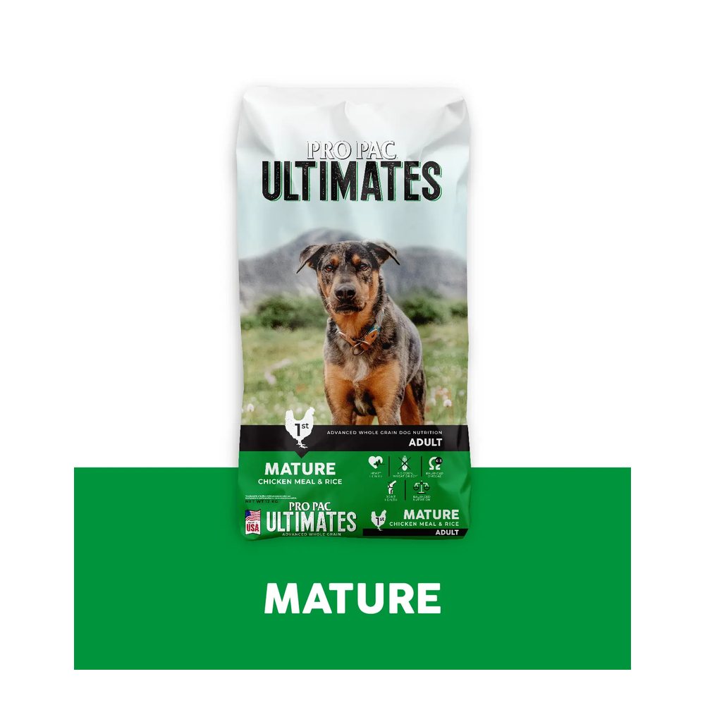 Dog Mature Chicken Meal & Rice
