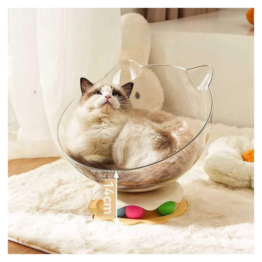Cama Acrílica para Gato