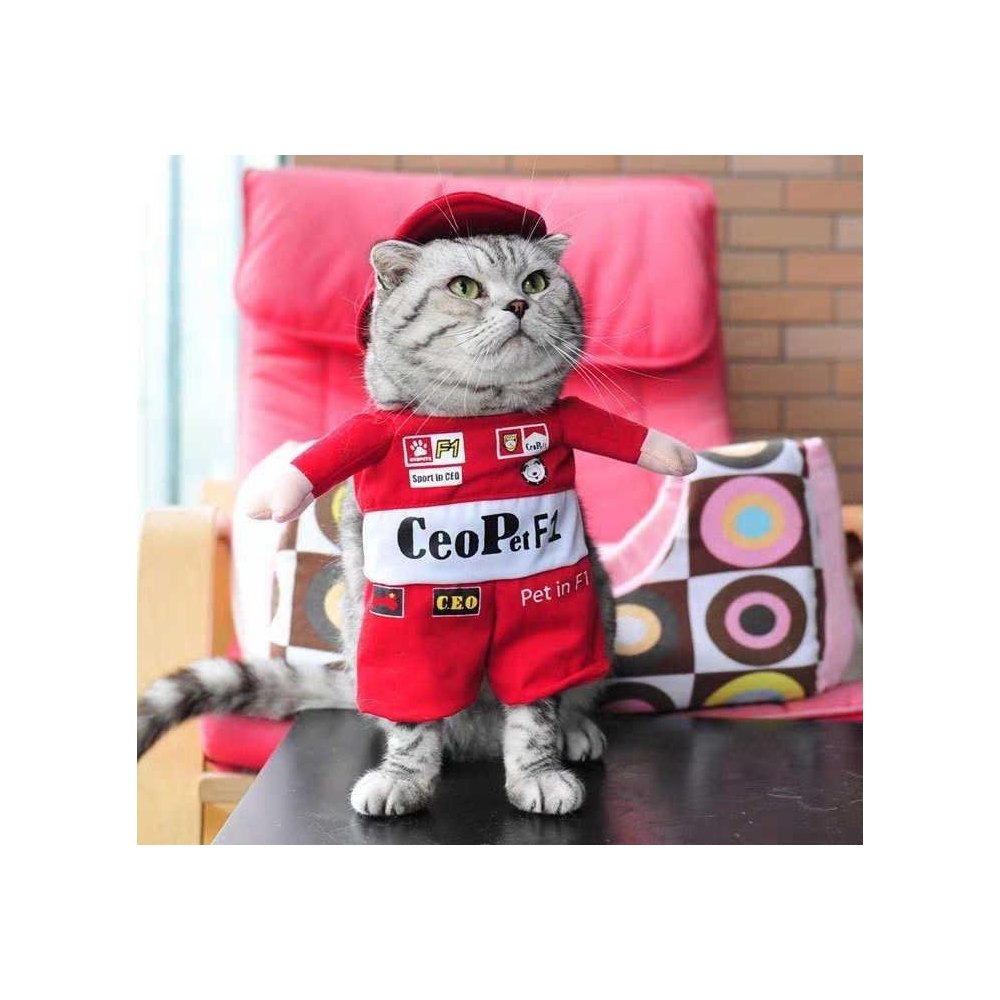 Disfraz Formula 1 Para Mascotas