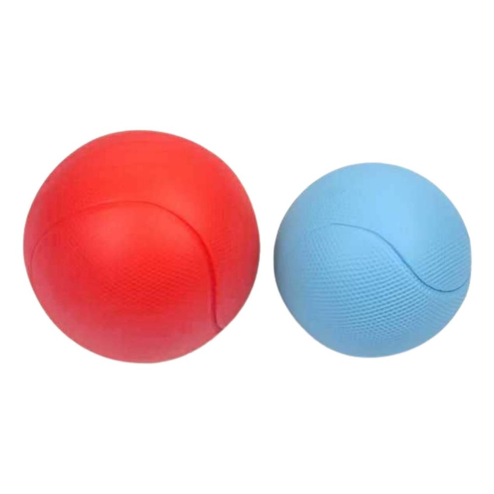 Juguete Pelota Sensorial S para Perro - TPR
