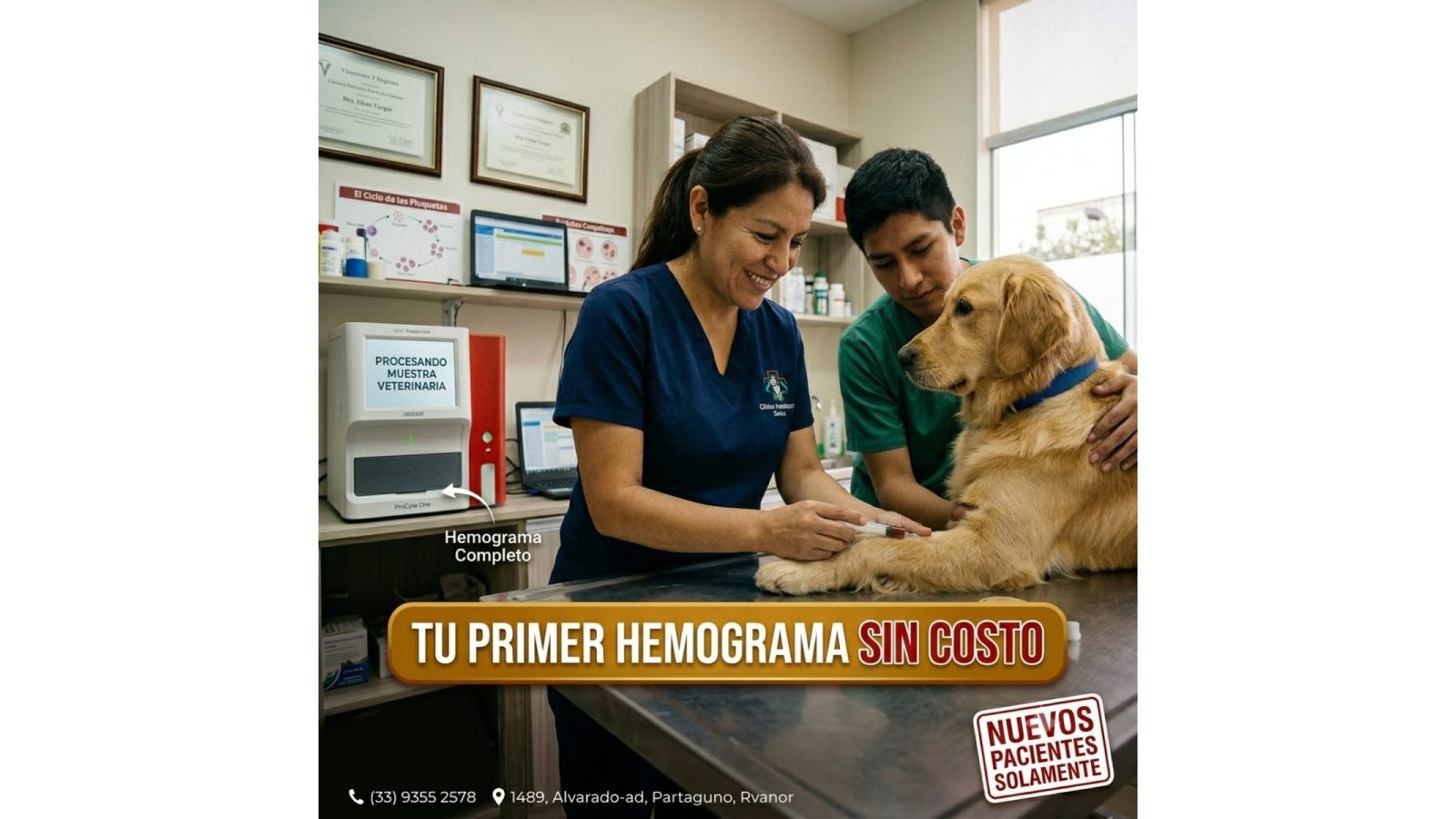 Hemograma
