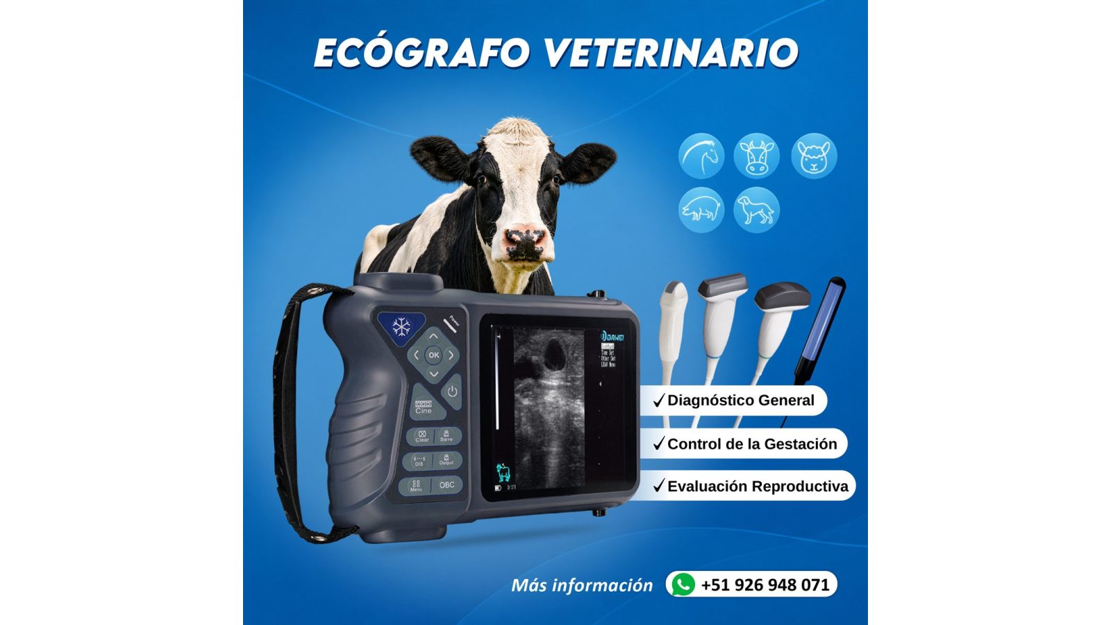 Ecografo Veterinario